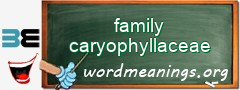 WordMeaning blackboard for family caryophyllaceae